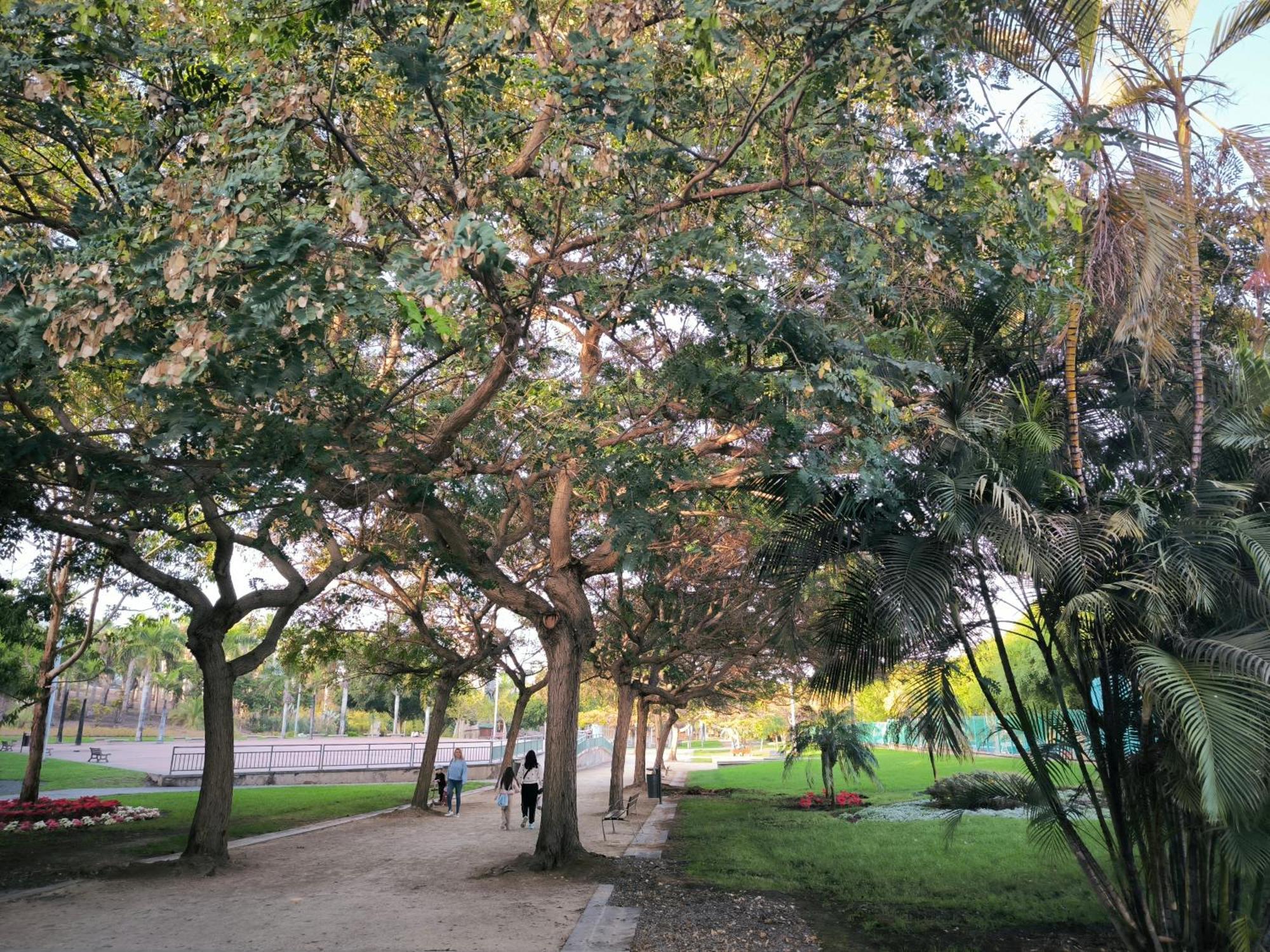 Beis House Appartamento Las Palmas de Gran Canaria